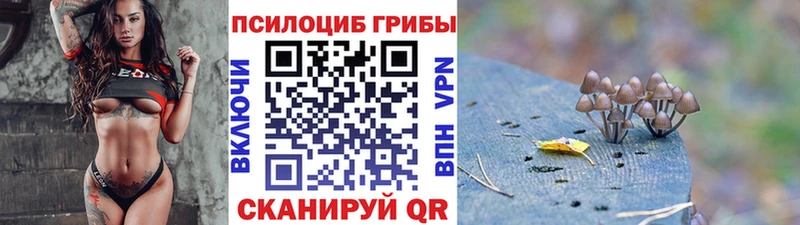 закладка  Юрга  Псилоцибиновые грибы MAGIC MUSHROOMS 